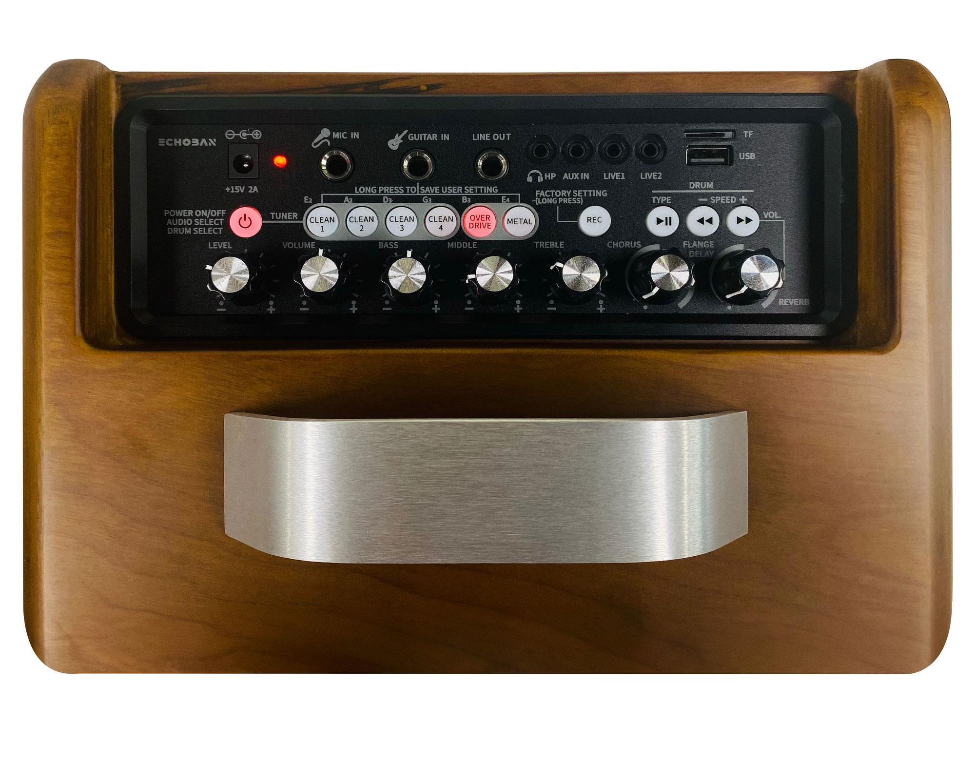 Echoban AT4 40 Watt Portable Amfi
