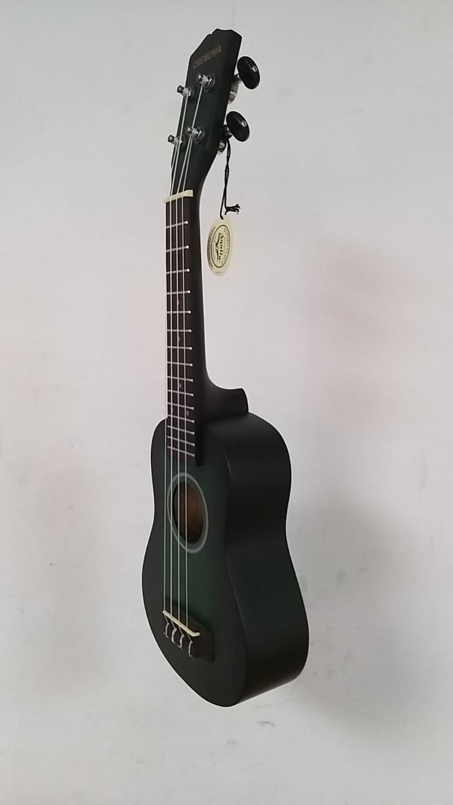 UKULELE 21’’ MAT MAVİ