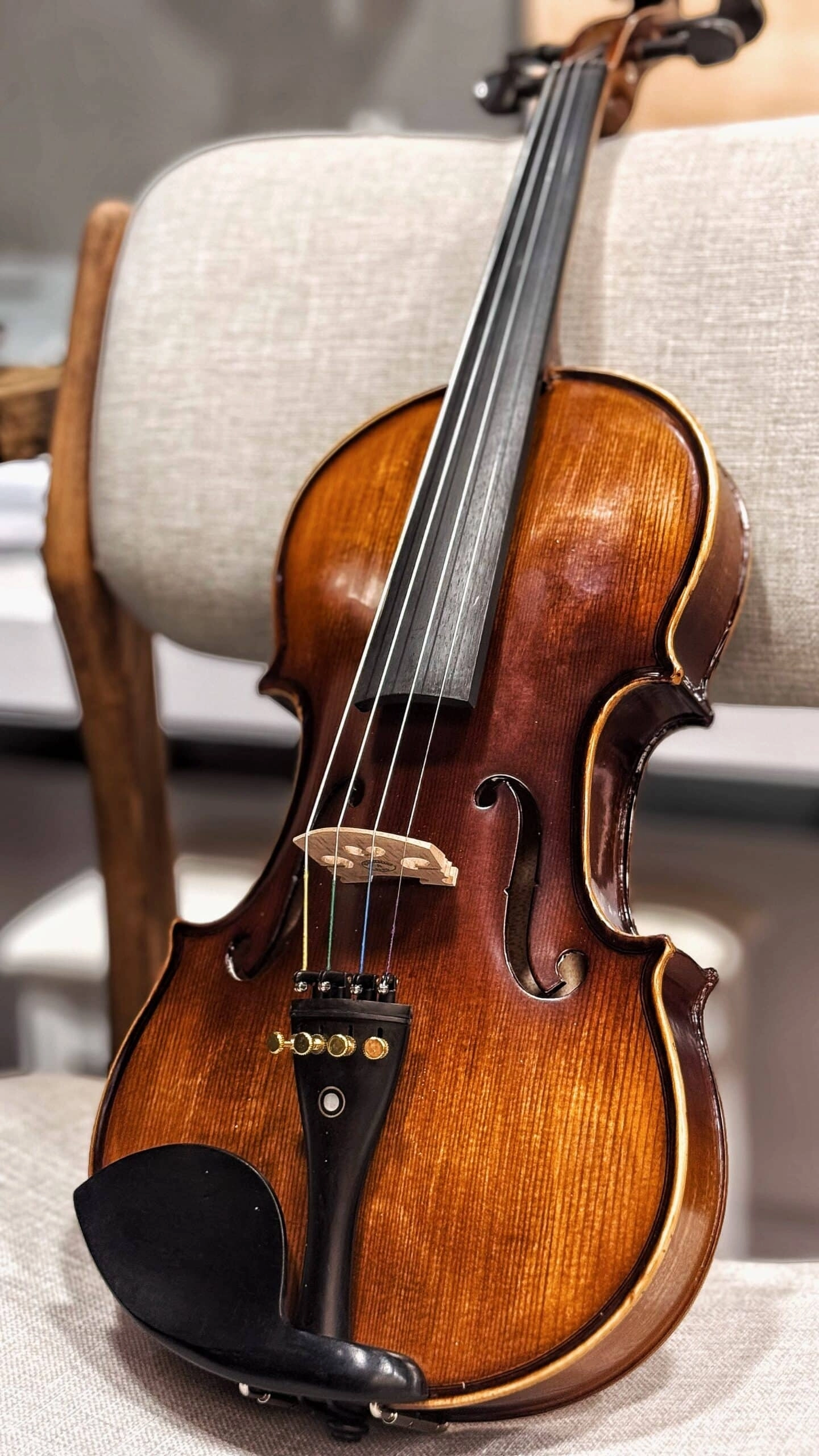 Vivaldi VL-904A 4/4 Abanoz Aksamlı Tam Boy Keman 