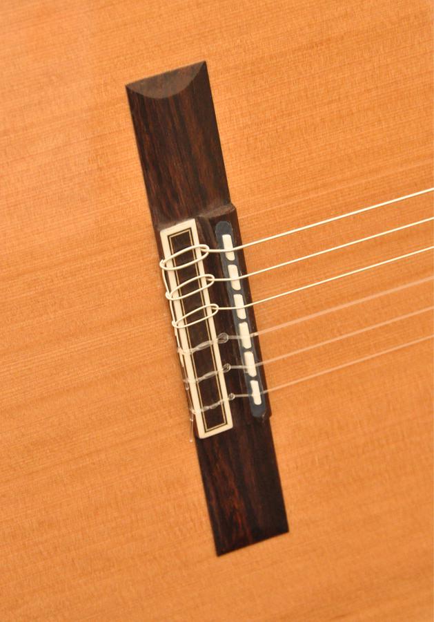 ELEKTRO KLASİK GİTAR FISHMAN CLASSIC III
