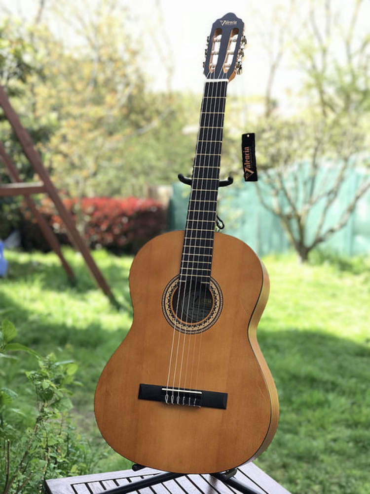 Valencia VC204 Mat Naturel Klasik Gitar ( Kılıf & Pena Hediyeli )