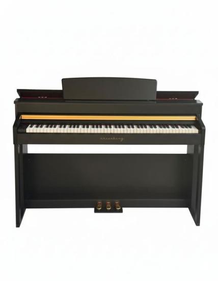 Arsenberg ADP1968B v2 Siyah Dijital Piyano (Yeni Versiyon)